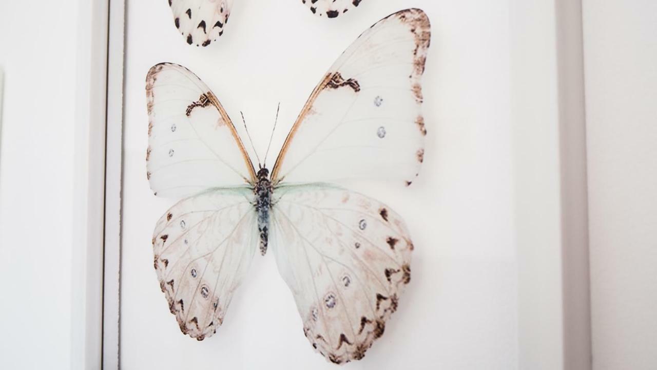 ベナルマデナCasa De Mariposasアパートメント エクステリア 写真